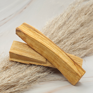 PALO SANTO – sveti les